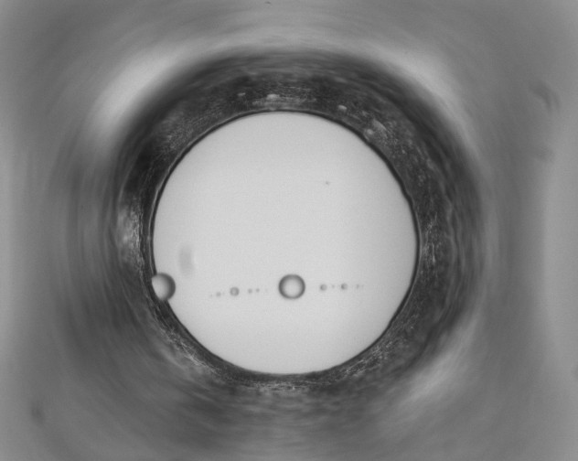 X0000112500146200908311459