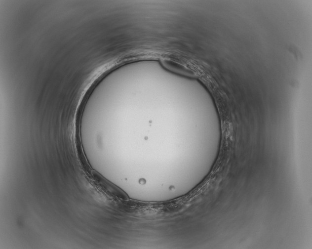 X0000112500148200908311459