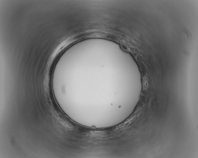 X0000112500150200908311459