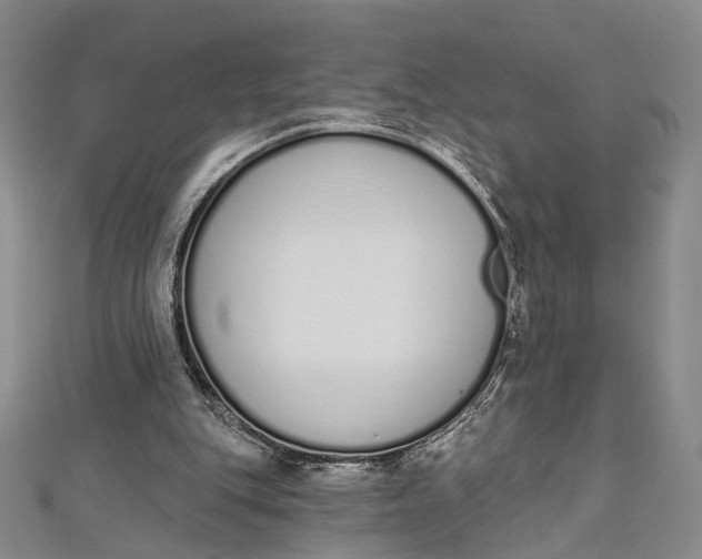 X0000112500151200908311459