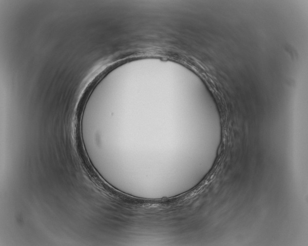 X0000112500152200908311459