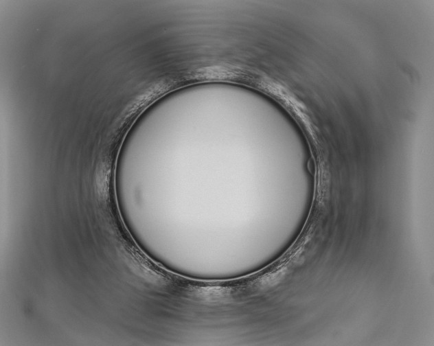 X0000112500153200908311459