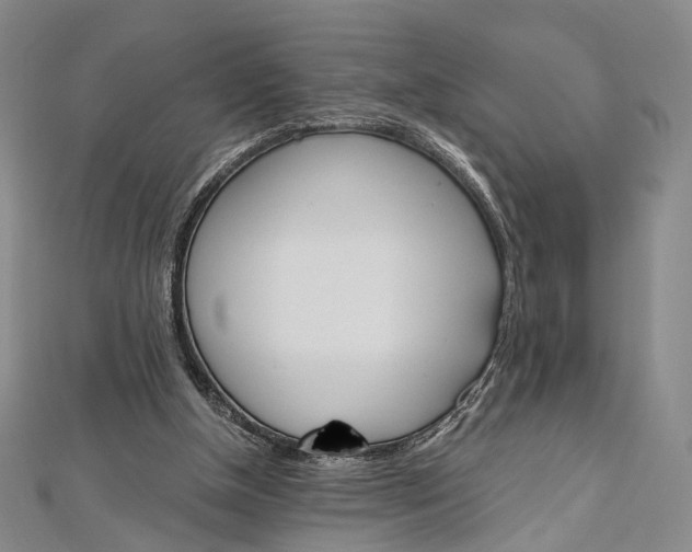 X0000112500154200908311459