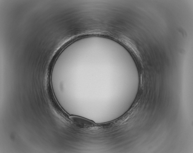 X0000112500156200908311459