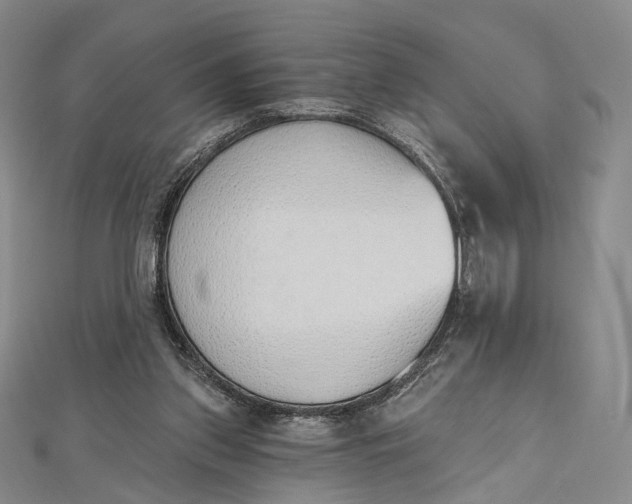 X0000112500157200908311459