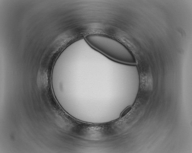 X0000112500158200908311459