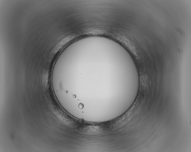 X0000112500159200908311459