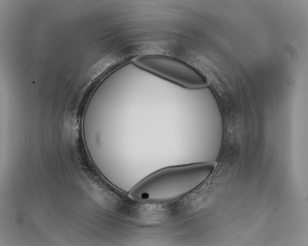 X0000112500160200908311459