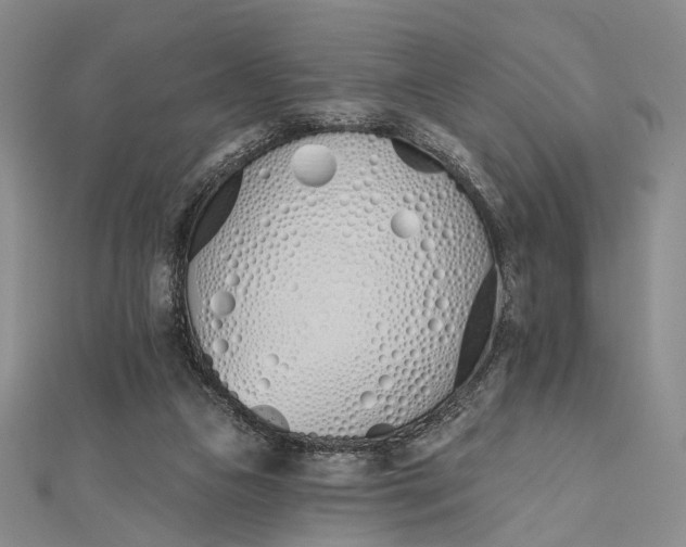 X0000112500161200908311459