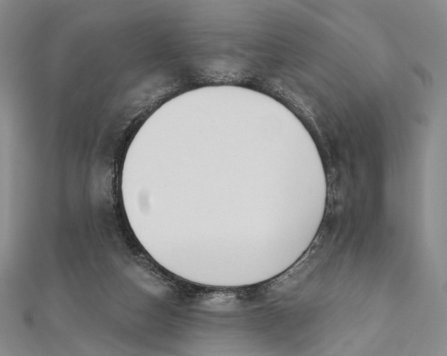 X0000112500162200908311459