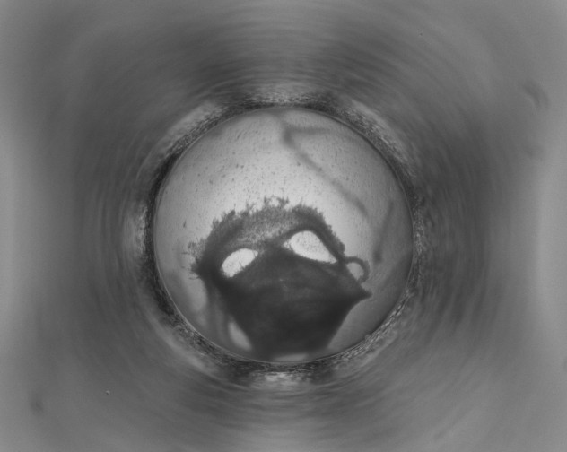 X0000112500163200908311459