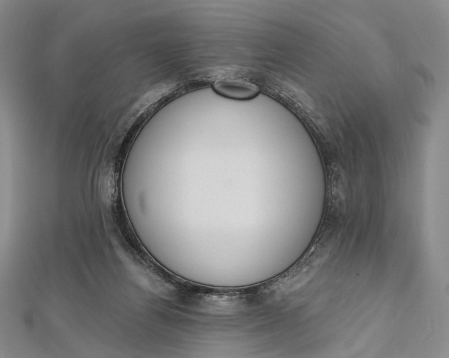 X0000112500164200908311500