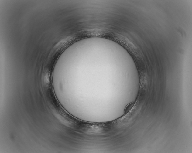 X0000112500166200908311500