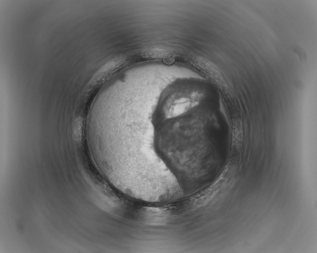 X0000112500167200908311500