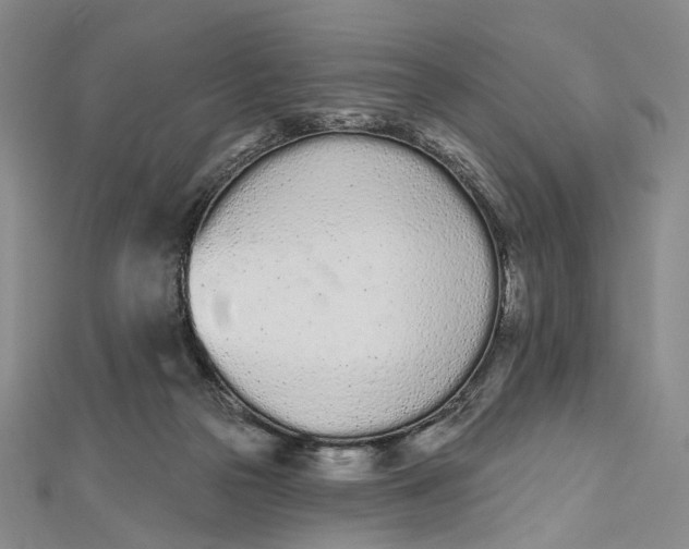 X0000112500169200908311500