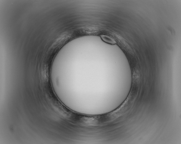 X0000112500170200908311500