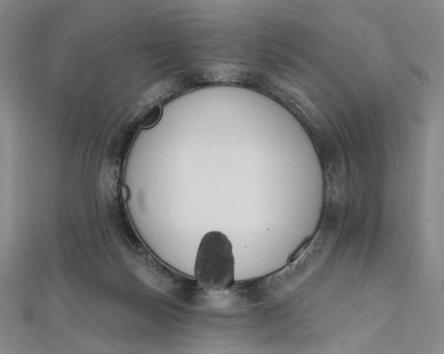 X0000112500171200908311500