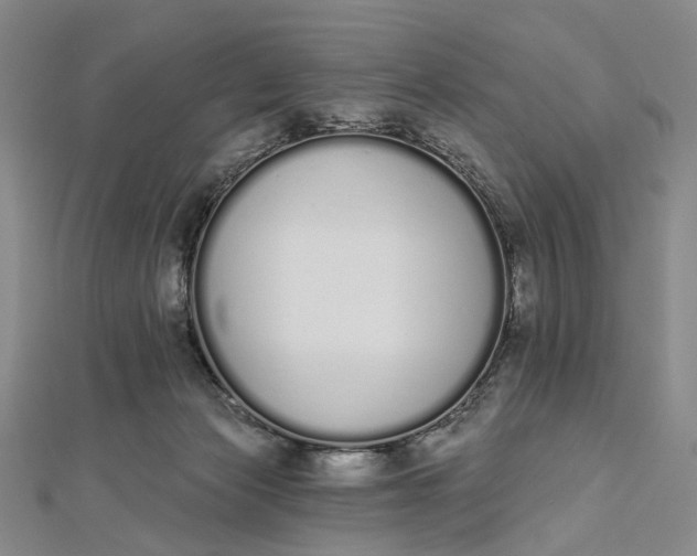 X0000112500173200908311500