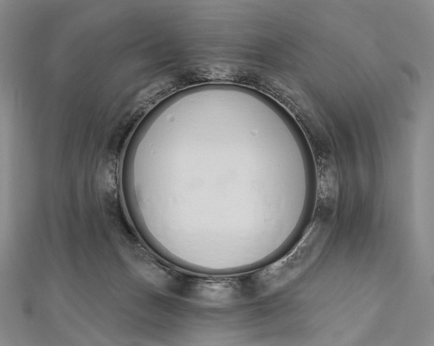 X0000112500175200908311500