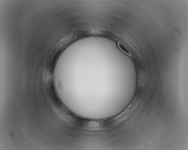 X0000112500176200908311500