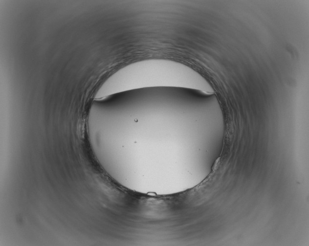 X0000112500180200908311500