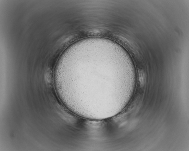 X0000112500181200908311500