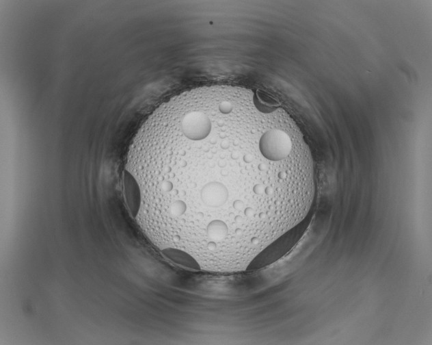 X0000112500182200908311500