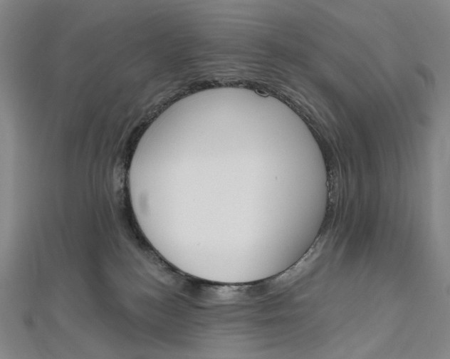 X0000112500184200908311500