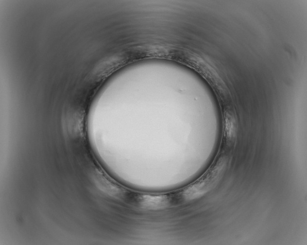 X0000112500185200908311500