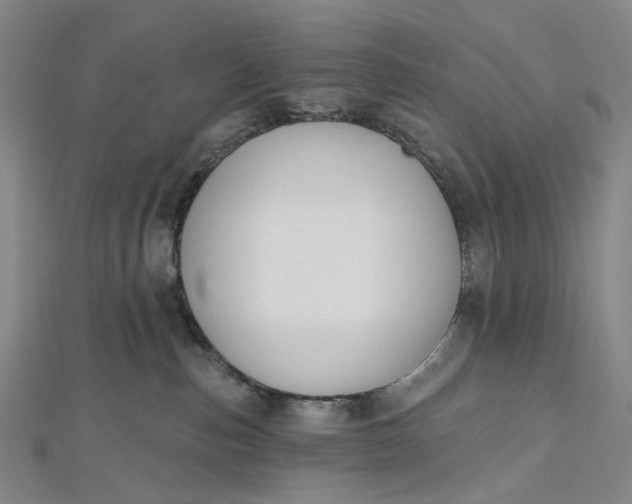 X0000112500187200908311500