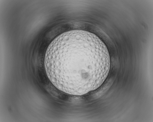 X0000112500189200908311500