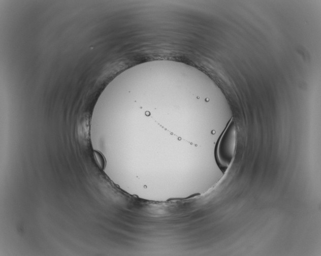 X0000112500190200908311500