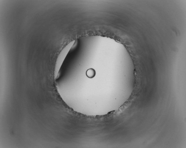 X0000112500192200908311500