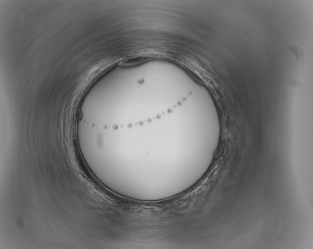 X0000112500193200908311459