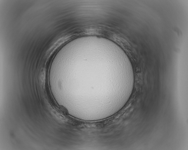 X0000112500194200908311459