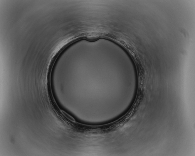 X0000112500196200908311459