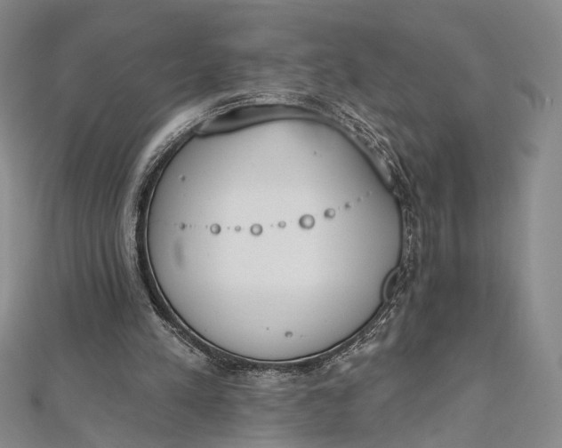 X0000112500197200908311459