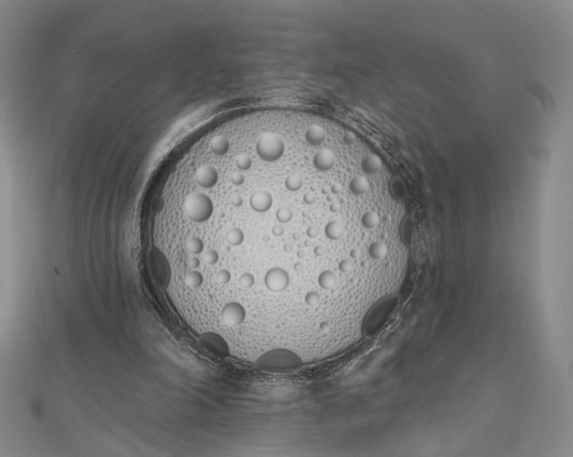 X0000112500198200908311459