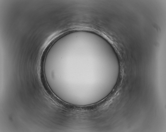 X0000112500199200908311459