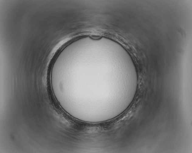 X0000112500200200908311459