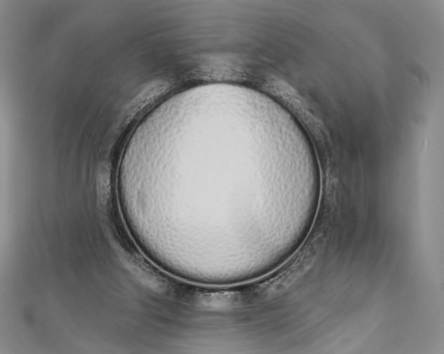 X0000112500202200908311459