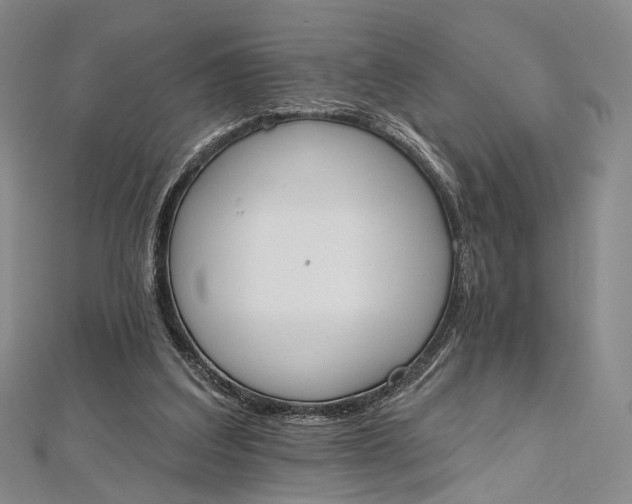 X0000112500203200908311459