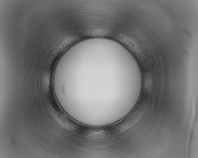 X0000112500206200908311459