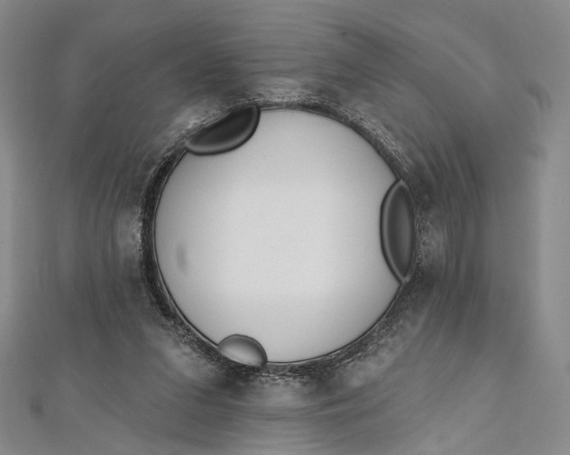 X0000112500207200908311459