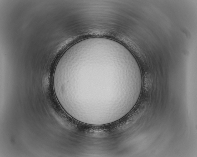 X0000112500208200908311459