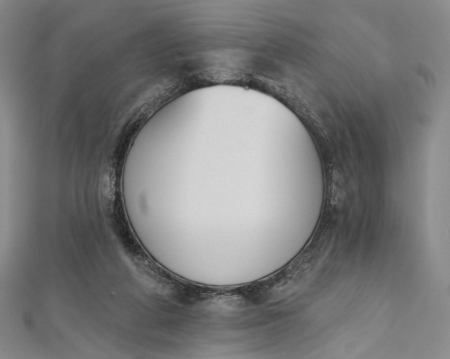 X0000112500210200908311459