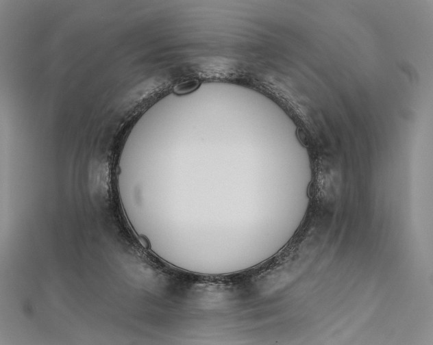 X0000112500211200908311459