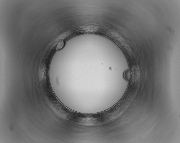 X0000112500212200908311459