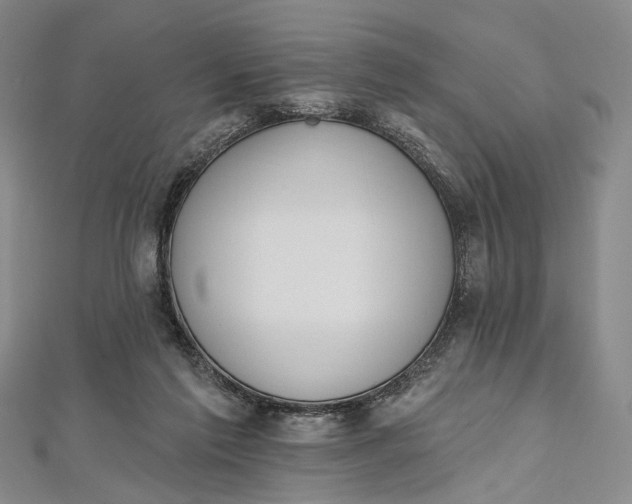 X0000112500213200908311459