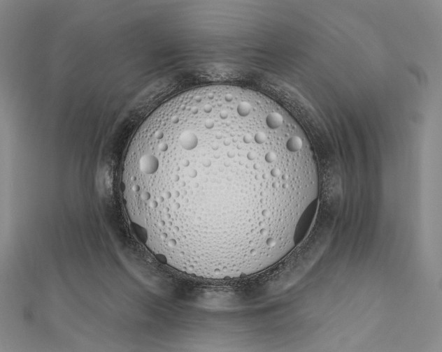 X0000112500214200908311459